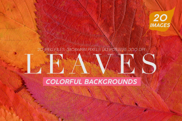 20 Colorful Leaves Backgrounds: A Handmade Collection for Creative Projects