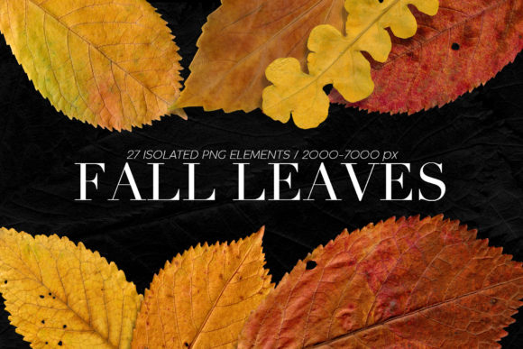 Isolated Fall Leaves: A Versatile Design Resource for Creative Projects