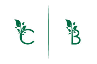 Letter B C Tree Logo: A Strategic Tool for Eco-Friendly Branding